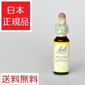 ob`t[fB }X^[h OZ^Cv 10ml KAi t[GbZX r ob`t[ fB ob`t[fB[ fB[ ob` t[ OZ 