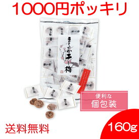＼ 1000円ポッキリ 送料無料 ／ まろやか干し梅 個包装 160g ハッピーカンパニー 1000円 ポッキリ HAPPY COMPANY 種なし 梅 熱中症予防 干し梅 熱中症 コーヒー お茶 お酒 お供に ギフト おつまみ すっぱい お徳用 業務用 はちみつ 多い 大きい 美容 美味しい お礼 おかし