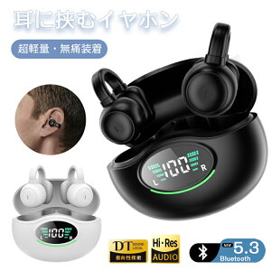 CXCz Bluetooth5.3 mCYLZO BluetoothCz ɓȂ J^ dቹ IPX5h   Ў cʕ\ C[Jt^ C`Cz AAC/SBCΉ }CN i