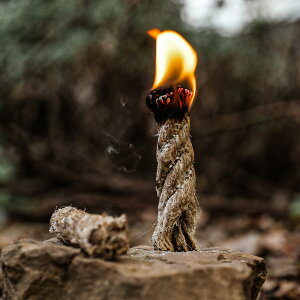 y10Zbgz΍ ̉Ό  R Ђ ΋N ΍ ΃[v Ό    Lv BBQ dXg[u o[xL[ Lvpi AEghApi ToCoObY