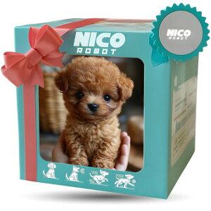 y[ẑʂ  dqybg 񂿂  ʂ   ʂ ybg  ̎q j̎q a v[g Mtg S6
