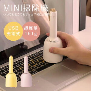 ミニ掃除機 小型掃除機 ハンディクリーナー コードレス ハンディ 掃除機 コードレス掃除機 USB充電 毛玉取り 小さい 卓上掃除機 ミニクリーナー 卓上クリーナー かわいい ハンディ おしゃれ