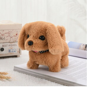 dqybg ̂ʂ  {bg dߋ 񂿂  ʂ   킢   dr(ʔ)  v[g qp ybg^{bg ̎q j