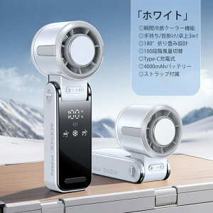 y2025NĐVznfBt@ pv[g u⊴ ܂ݎ gѐ@ 莝@ |//莝 3in1 100iKʒ É݌v 4000mAhe @ USB[d LEDfB