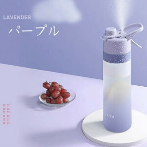  650ml e \ y X|[c ^b`    􂢂₷  W l LbY {g 킢 {g X|[c{g AEghA Ȃ߂炩 a v