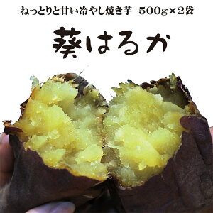 Ă g͂邩 ͂邩 ˂ƂÂ ₵ĂĂ ① XC[c ЂЂN XC[g|eg 1Kg (ꕔn͕ʓr܂)