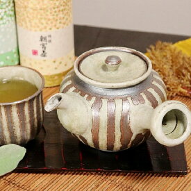 信楽焼 急須 土もの急須 陶器 やきもの 信楽 ティーポット 食器 土瓶 器 焼き物 ポット しがらき うつわ　萌黄ストライプ急須 w316-03