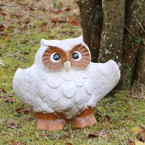 ӂ낤  tNE MyĂӂ낤  ӂ낤u tNE 炫 ₫ N Mtg 10H΂tNE fu-0003