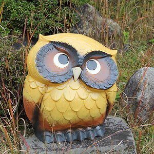 yubNtCf[15%OFFN[|zzz 17񂩂ӂ낤()!My  ӂ낤u tNE MyĂ tNEu ӂ낤 炫₫  ₫ N