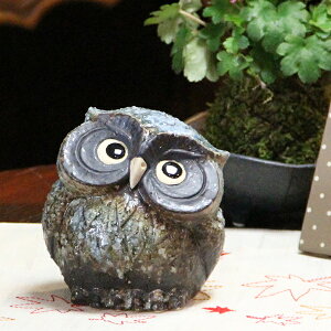 y38Ԍ|Cg15{z3񂩂ӂ낤() My  ӂ낤u tNE MyĂ tNEu ӂ낤 炫₫  ₫ N Mtg fu-0130