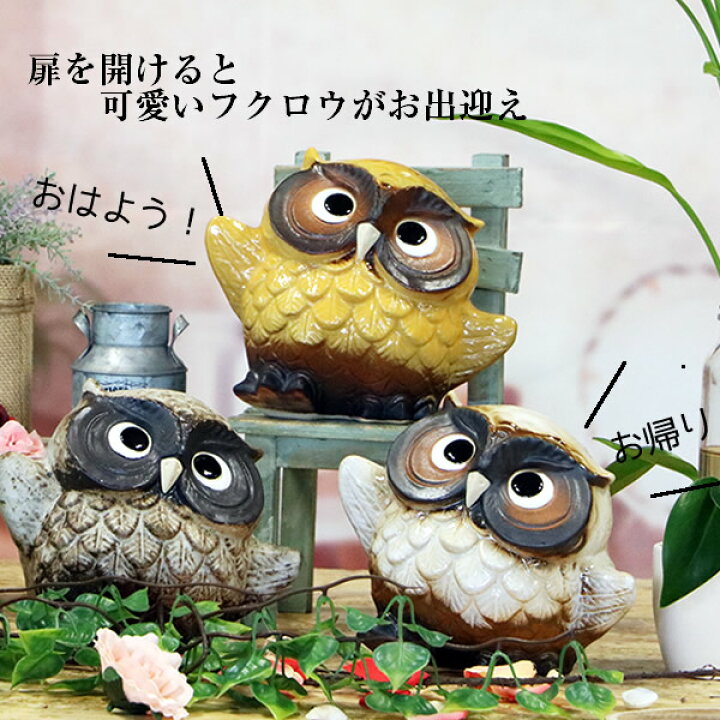 楽天市場】【11月1日限定11%OFFクーポン】ふくろう 送料無料 踊り 