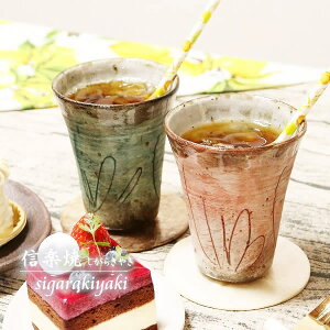 yubNtCf[15%OFFN[|zzzyA t[Jbv ۉ 2qZbg  j H yAJbv  ۉ 킢 aH ^u[ {  Jbv H ₫