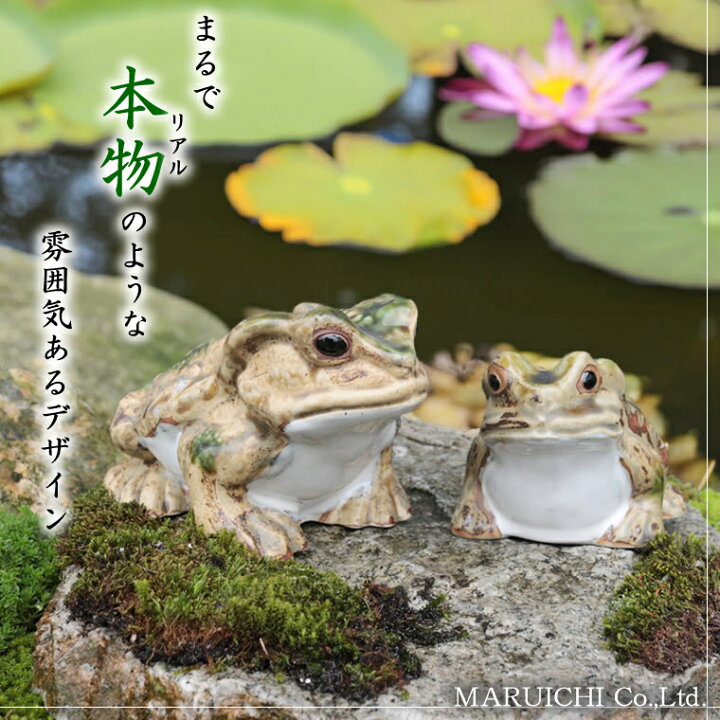 信楽焼 カエル君 ka-0064 緑色 縁起物カエル お庭に玄関先に陶器蛙 陶器やき 蛙 陶器かえる カエル 緑色 ホーム キッチン