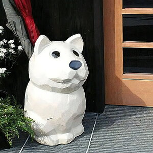 y38Ԍ|Cg15{zMy PăCku ւ̃CeA  MyĂ P aP ₫ P  c{ 炫 P JT^e Vzj J