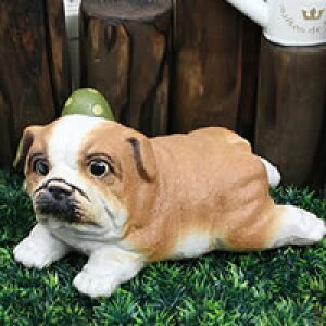 yubNtCf[15%OFFN[|zzzCku uhbNq()u MyăuhbO u   ₫ K[fjO CeA Mtg 炫 Ă q ok-0