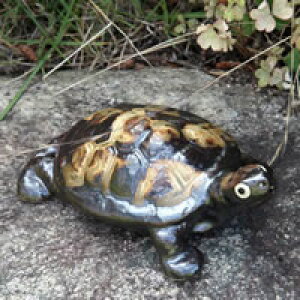 y38Ԍ|Cg15{zMy 4T̒E^ɂv 킩ߒu J ₫ N 炫  u ok-0058