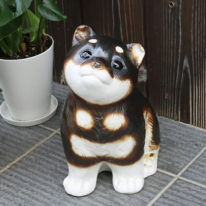楽天市場】【今だけ11%OFFクーポン】信楽焼 黒柴犬 黒豆柴 おすわり  