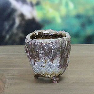 yubNtCf[15%OFFN[|zzzR ̓Aؔ R쑐 My R  炫 픫 A ₫ MyĔ sa-0280