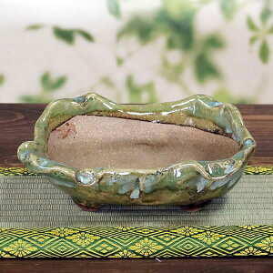 y38Ԍ|Cg15{zR ̓Aؔ R쑐 My R  炫 픫 A ₫ MyĔ Â sa-0311