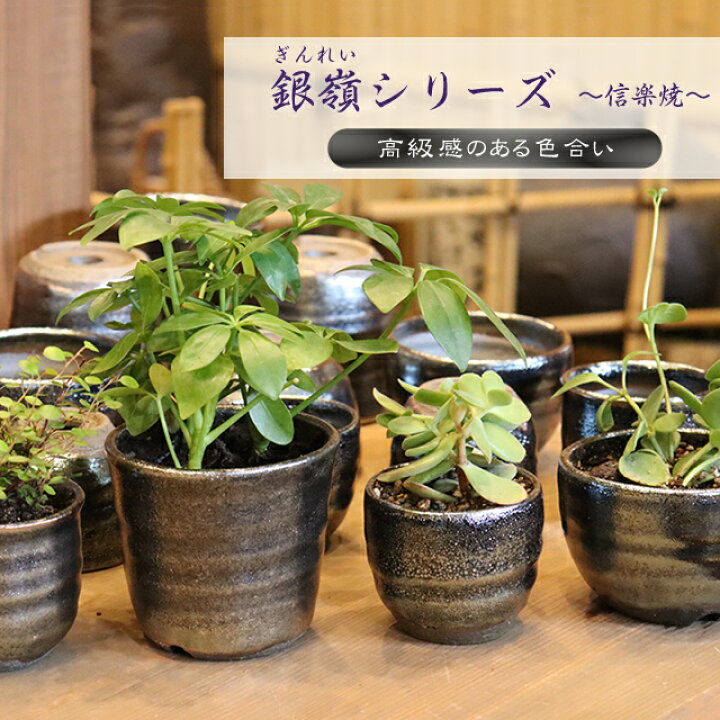 楽天市場】【38時間限定15%OFFクーポン】信楽焼 植木鉢 陶器 おしゃれ 
