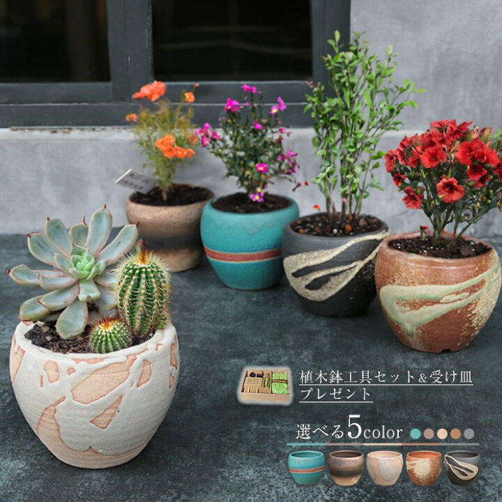 楽天市場】【38時間限定15%OFFクーポン配布中】植木鉢9点セット 受け皿 