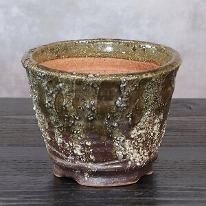 【10月24日20時開始ポイント10倍】山草鉢 手作りの陶器植木鉢 山野草鉢 信楽焼 山草 鉢 しがらき 陶器鉢 植木 やきもの 信楽焼鉢 手づくり 多肉植物 塊根植物 sa-0338