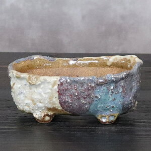 y38Ԍ|Cg15{zR ̓Aؔ R쑐 My R  炫 픫 A ₫ MyĔ Â A 򍪐A sa-0344