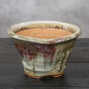 y11111%OFFN[|zR ̓Aؔ R쑐 My R  炫 픫 A ₫ MyĔ Â A 򍪐A sa-0352