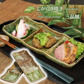 信楽焼 三品皿 食器 長皿 おしゃれ 和食器 付き出し 薬味皿 モダン 醤油皿 仕切り皿 仕切皿 角皿 ct-0029