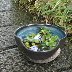 楽天市場 メダカ 鉢の通販