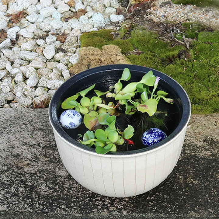 楽天市場 今だけポイント10倍 水鉢 すいれん鉢 信楽焼すいれん鉢 メダカ鉢 金魚鉢 睡蓮鉢 陶器スイレン鉢 ハス鉢 はす鉢 めだか鉢 鉢 陶器 水連鉢 水鉢 信楽焼き睡蓮鉢 手水鉢 手づくり やきもの Su 0249 まるいち本店