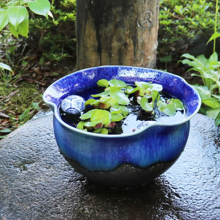 楽天市場】すいれん鉢 信楽焼すいれん鉢 メダカ鉢 金魚鉢 睡蓮鉢 陶器 