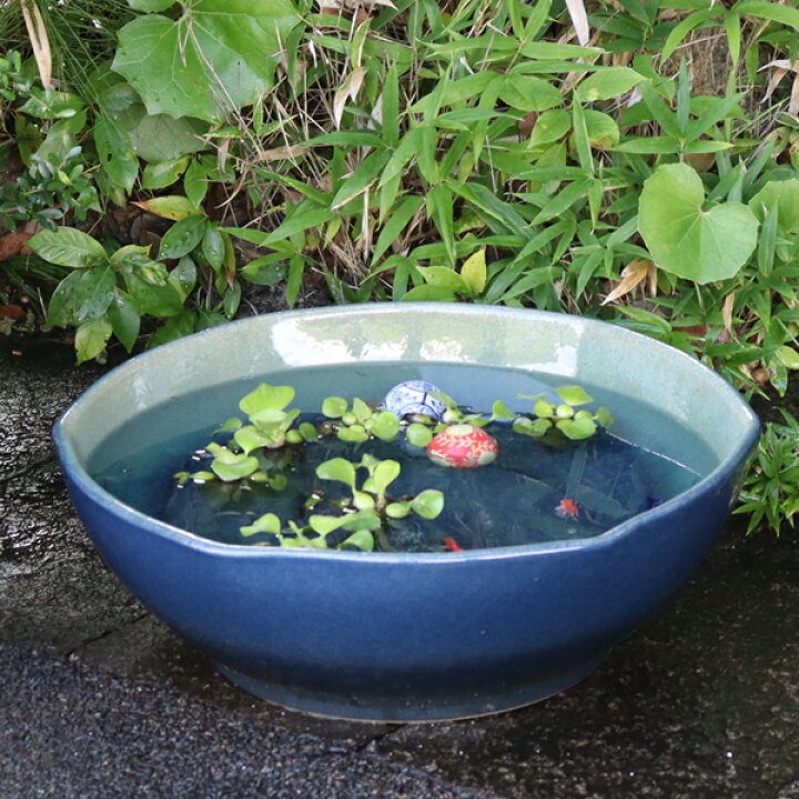 楽天市場】信楽焼 メダカ鉢 おしゃれ 水鉢 睡蓮鉢 陶器 めだか 鉢 青い円形水鉢めだかメダカプランター鉢