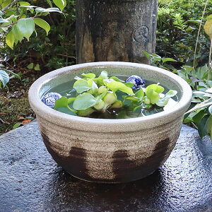 【10月24日20時開始ポイント10倍】13号水鉢 すいれん鉢 信楽焼すいれん鉢 メダカ鉢 金魚鉢 睡蓮鉢 陶器スイレン鉢 ハス鉢 はす鉢 めだか鉢 鉢 陶器 水連鉢 水鉢 信楽焼き睡蓮鉢 手水鉢 手づく