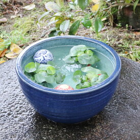10号なまこ色水鉢信楽焼すいれん鉢 メダカ鉢、 金魚鉢にも最適 睡蓮鉢 陶器スイレン鉢 ハス鉢 はす鉢 めだか鉢 鉢 陶器 水連鉢 水鉢 睡蓮鉢 信楽焼き睡蓮鉢 手水鉢 su-0139
