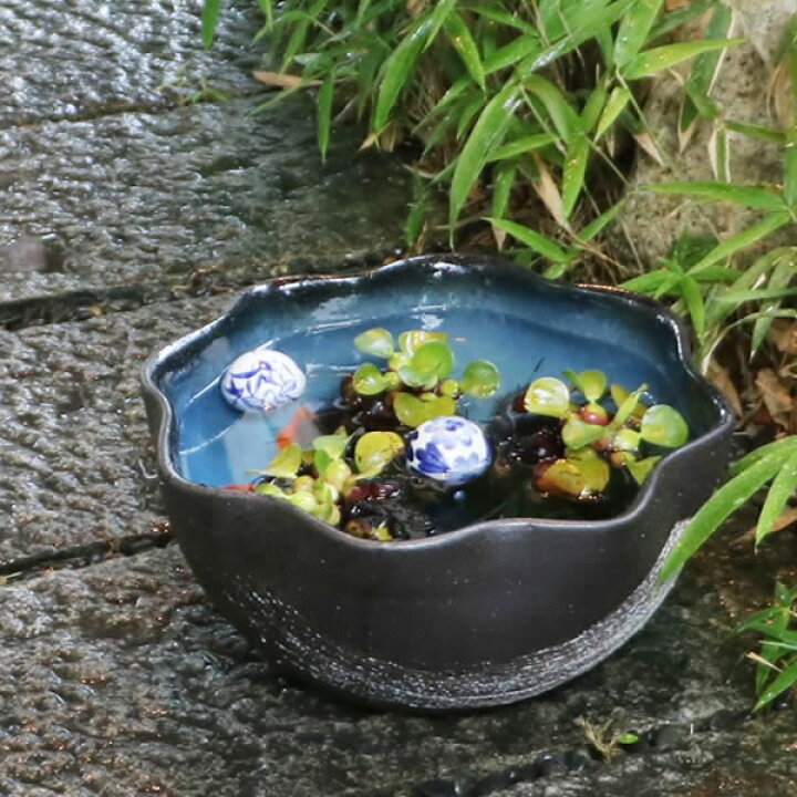 楽天市場 Offクーポン配布中 メダカ鉢 金魚鉢 睡蓮鉢 水鉢 手水鉢 すいれん鉢 陶器鉢 めだか鉢 ハス鉢 水連鉢 鉢 信楽焼 しがらき 睡蓮 陶器 スイレン鉢 蓮 12号青はけ目花型水鉢 Su 0149 スーパーsale まるいち本店