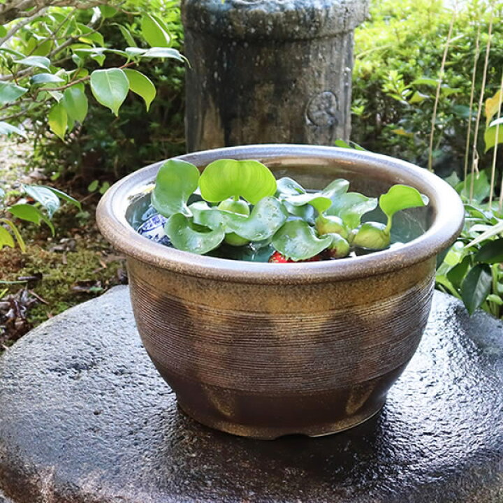 楽天市場】13号窯肌クシ目水鉢 信楽焼すいれん鉢 メダカ鉢、 金魚鉢に 