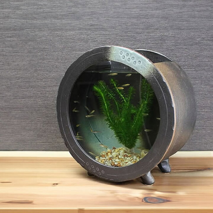 楽天市場】【今だけ10%OFFクーポン】信楽焼 水槽 丸型大(茶色)陶器水槽 
