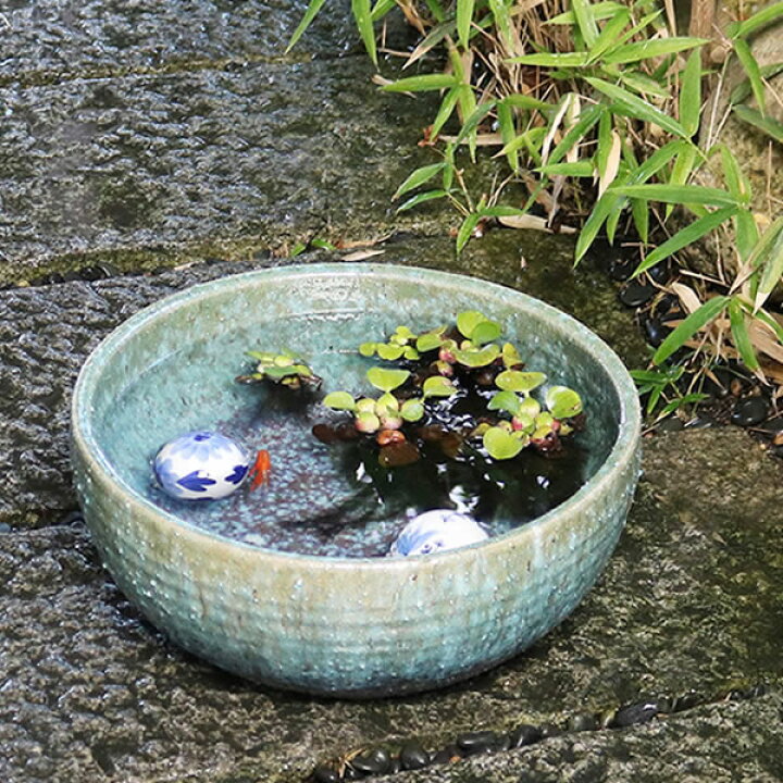 楽天市場】水鉢 すいれん鉢 信楽焼すいれん鉢 メダカ鉢、 金魚鉢にも 