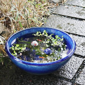 睡蓮鉢 ガラスの人気商品 通販 価格比較 価格 Com 睡蓮鉢 ガラスの人気商品 通販 価格比較 価格 Com