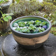 15号はけ目水鉢 すいれん鉢 信楽焼すいれん鉢 メダカ鉢 金魚鉢 睡蓮鉢 陶器スイレン鉢 ハス鉢 はす鉢 め…