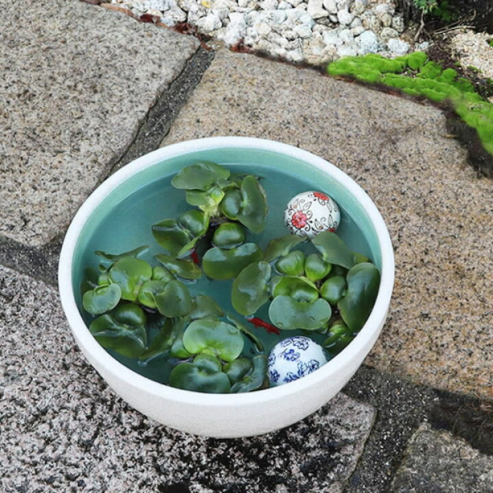 楽天市場】11号白カスミ水鉢 すいれん鉢 信楽焼すいれん鉢 メダカ鉢 