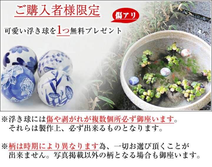 楽天市場】【今だけ限定10%OFFクーポン】睡蓮鉢 メダカ鉢 めだか 鉢 