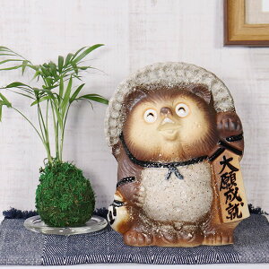 �y12��19��20���J�n15%OFF�N�[�|���z�M�y�� ���ʂ� ��萬�A�K �M�y�Ă��ʂ� ���N���̃^�k�L ����^�k�L ���ʂ��u�� �₫���� �����炫�₫ �Ă��� �K �^�k�L �M�y ��萬�A raccoon dog �K ta-0392