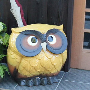 y11111%OFFN[|zMy YiFjP ւ̃CeA  MyĂ P aP ₫ P  c{ 炫 P JT^e Vzj JX