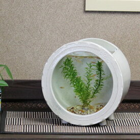 水槽su-0125 陶器丸型水槽（白） 陶器 インテリア おしゃれ 睡蓮鉢 メダカ メダカ鉢