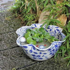 睡蓮鉢 陶器 農業資材 ガーデニング用品の通販 価格比較 価格 Com