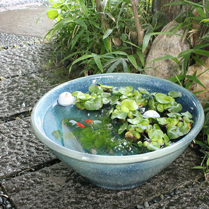 楽天市場 16号ブルーガラス信楽焼すいれん鉢 メダカ鉢 金魚鉢にも 最適 睡蓮鉢 陶器スイレン鉢 ハス鉢 はす鉢 めだか鉢 鉢 陶器 水連鉢 水鉢 睡蓮 鉢 信楽焼き睡蓮鉢 Su 0165 まるいち本店