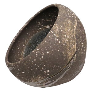 yX[p[SALE 20%OFFN[|zzzʃ{E   ʃ{[ 􂢔 u^ ی^ My [^ u[ rZbg ubN zCg gCp Iׂ3F ی^ʃ{E 