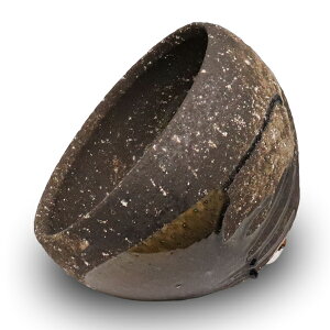 ʃ{E   ʃ{[ 􂢔 u^ ی^ My [^ u[ rZbg ubN zCg gCp Iׂ3F ی^ʃ{E tr-1220